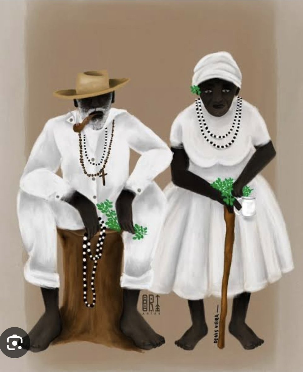 o low profile de direita tweet media