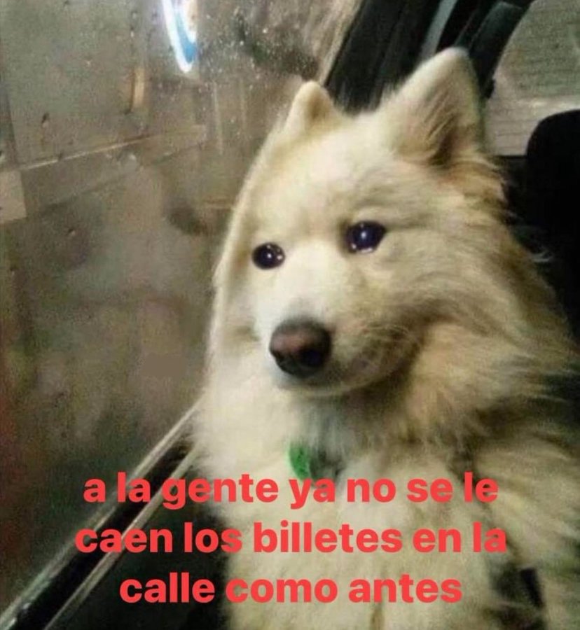 ANIMALITOSSANA's tweet photo. Ya nada es como antes 😪 https://t.co/xE6B0gqtw8