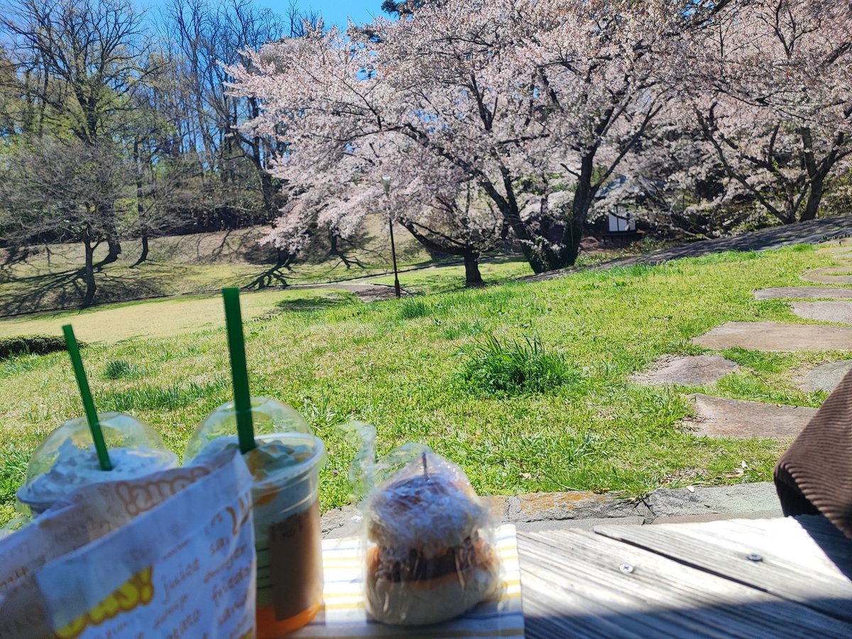 9800000000ms tweet media