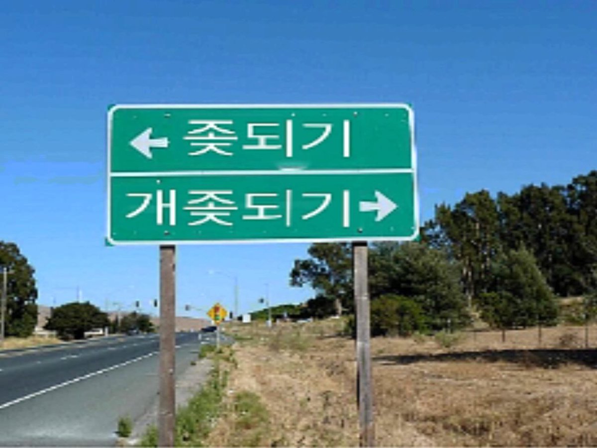 최말순 tweet media