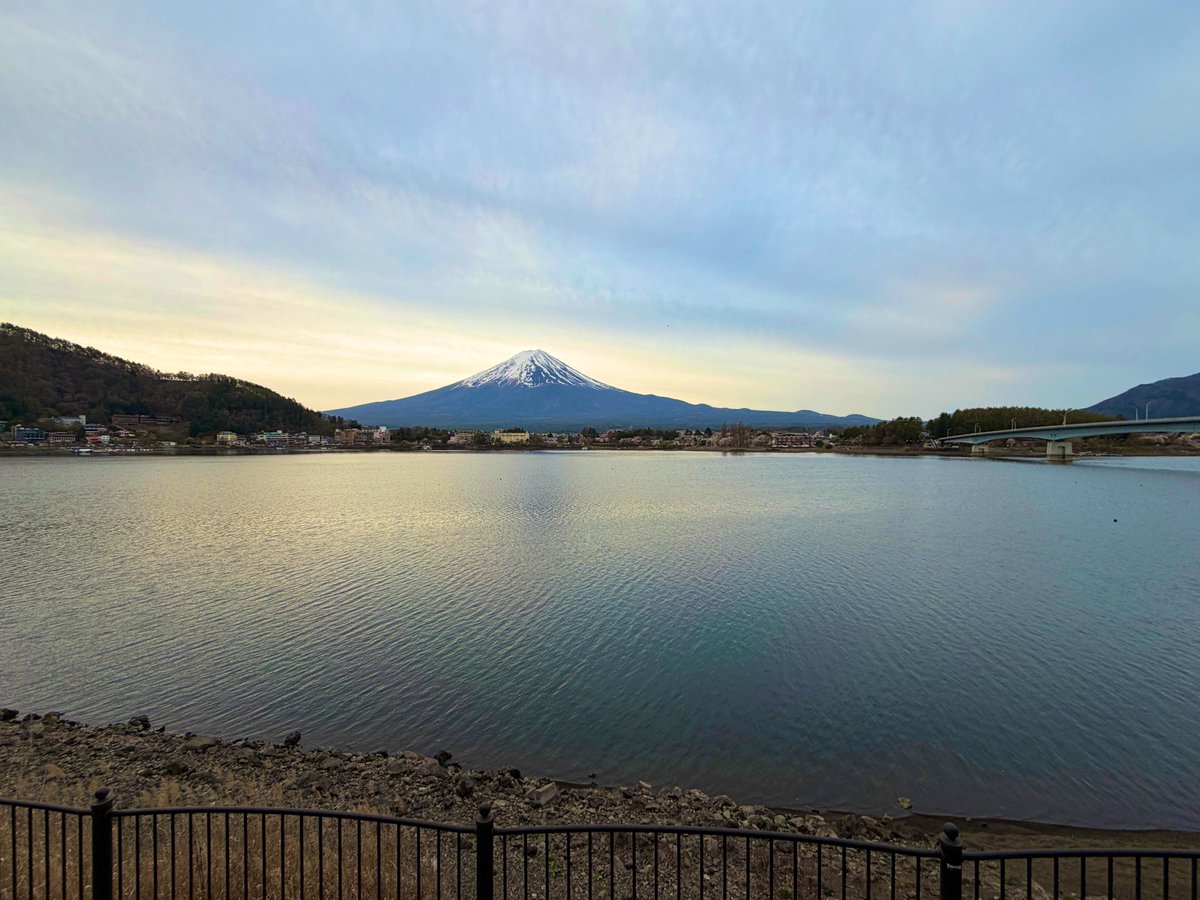 富士山コレクター大宮仁 tweet media