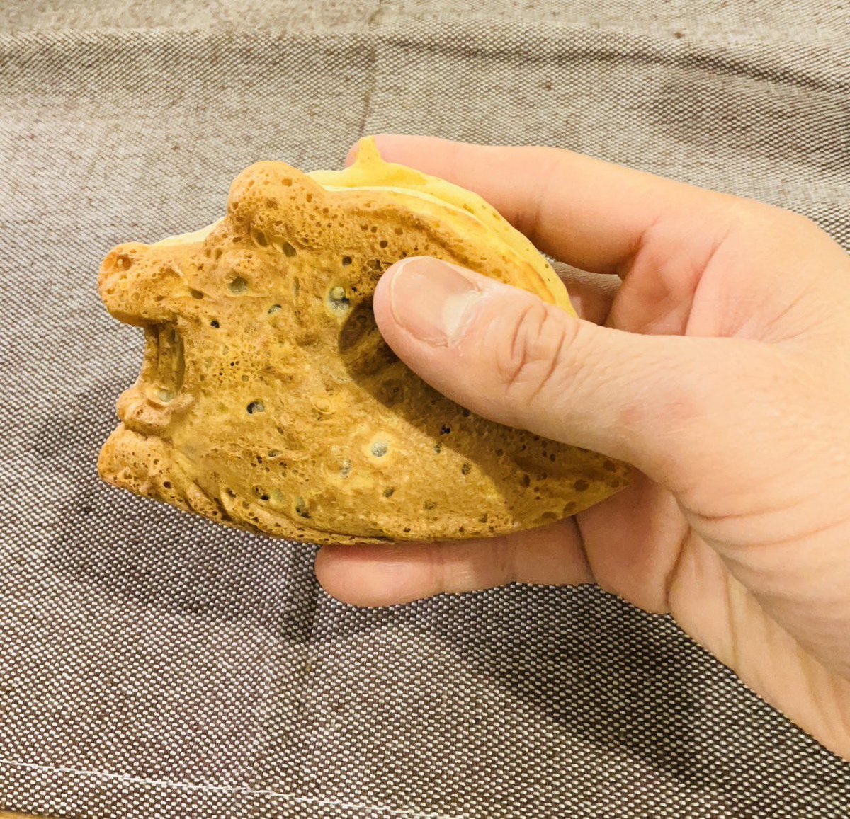 下野紘 tweet media