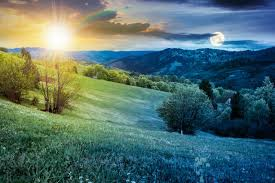 BeniwalDr23's tweet photo. Good morning!
Hope you have a wonderful day ahead filled with productivity and positivity
#GoodMorningFromIndia https://t.co/NKSowrP2E9