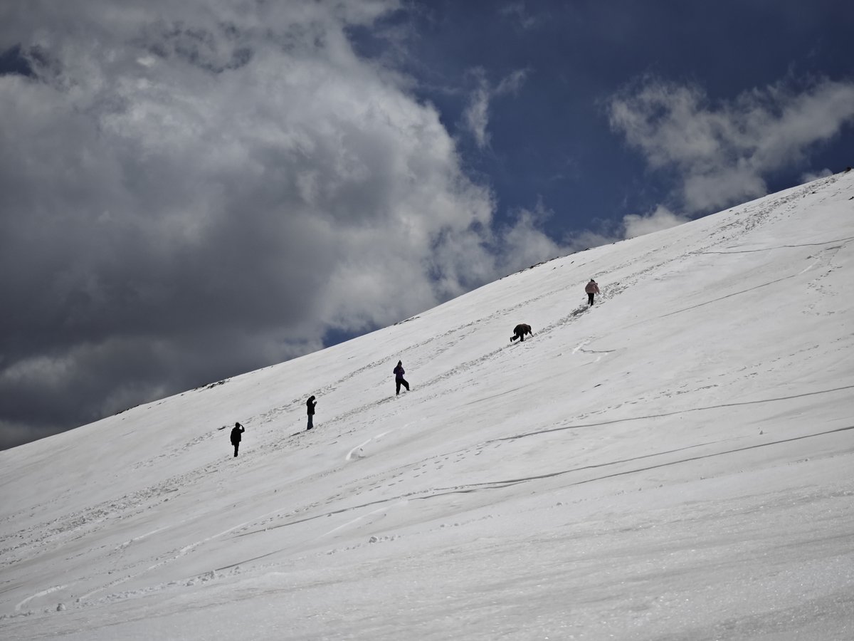 小Q 🔜 hifurry tweet media