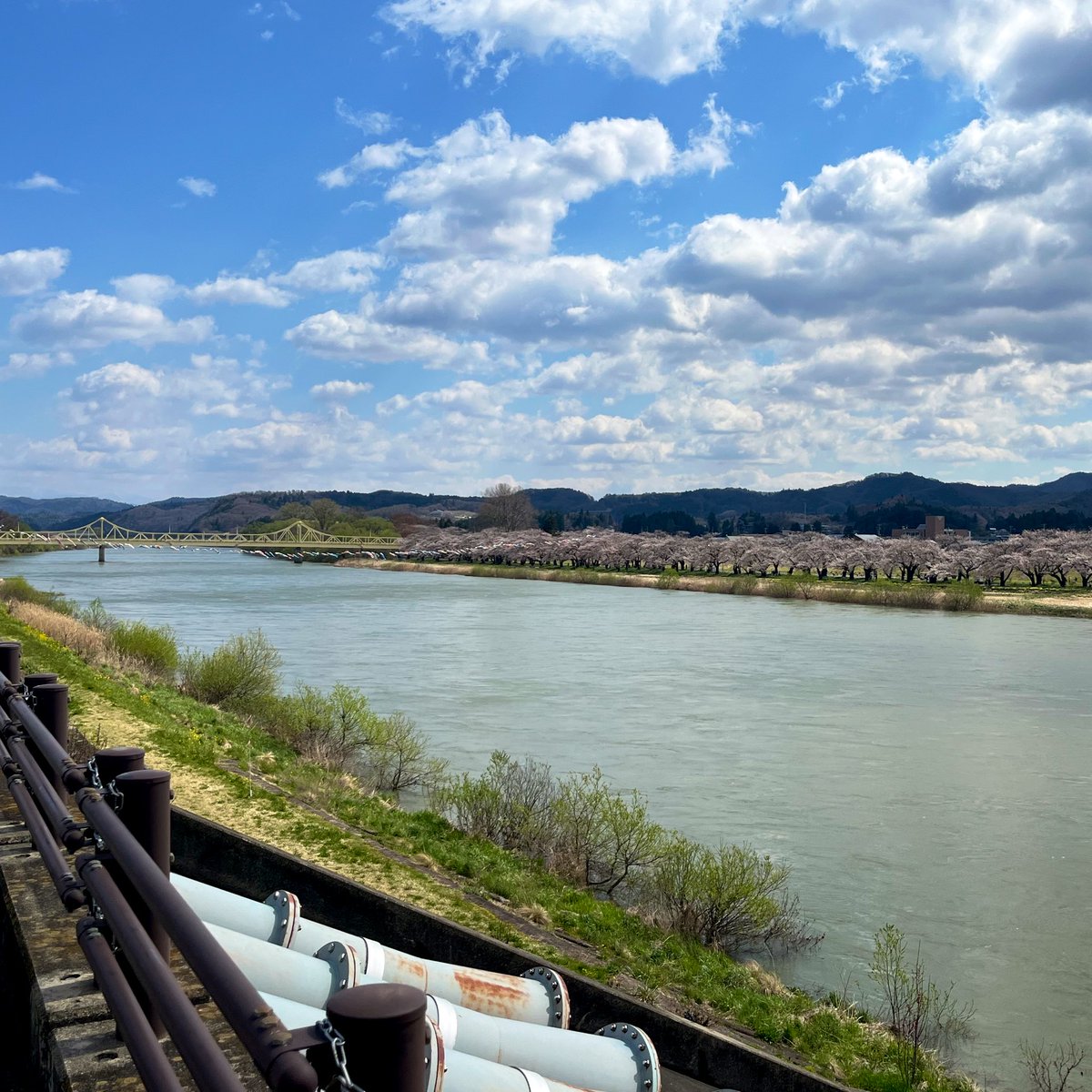 やひろ tweet media