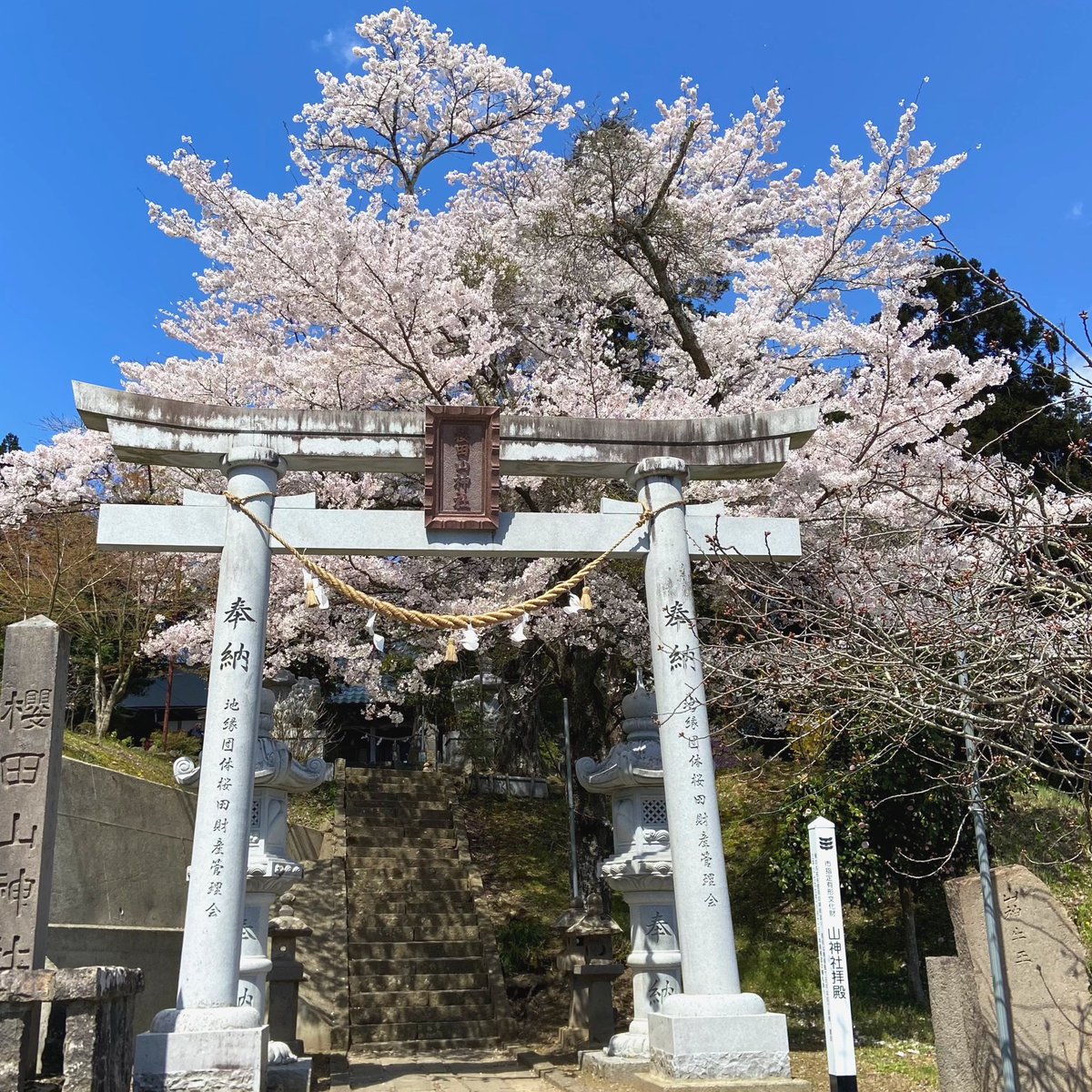 Tanji (タンジ) ／ 宮城県のどこでしょうか？クイズ写真もやってます tweet media