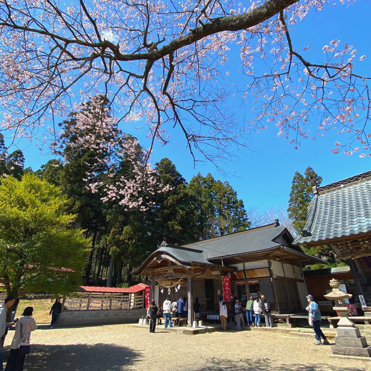 Tanji (タンジ) ／ 宮城県のどこでしょうか？クイズ写真もやってます tweet media