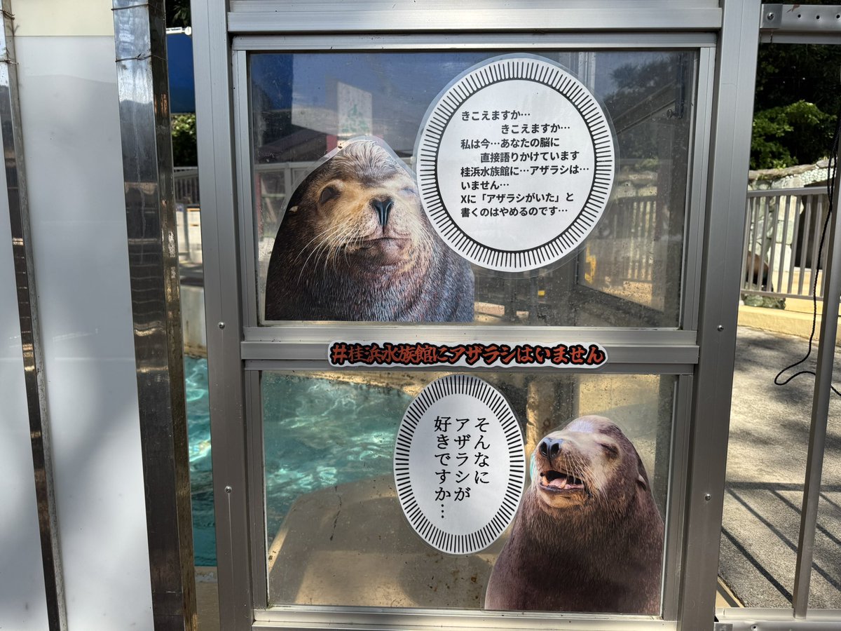 ザック tweet media