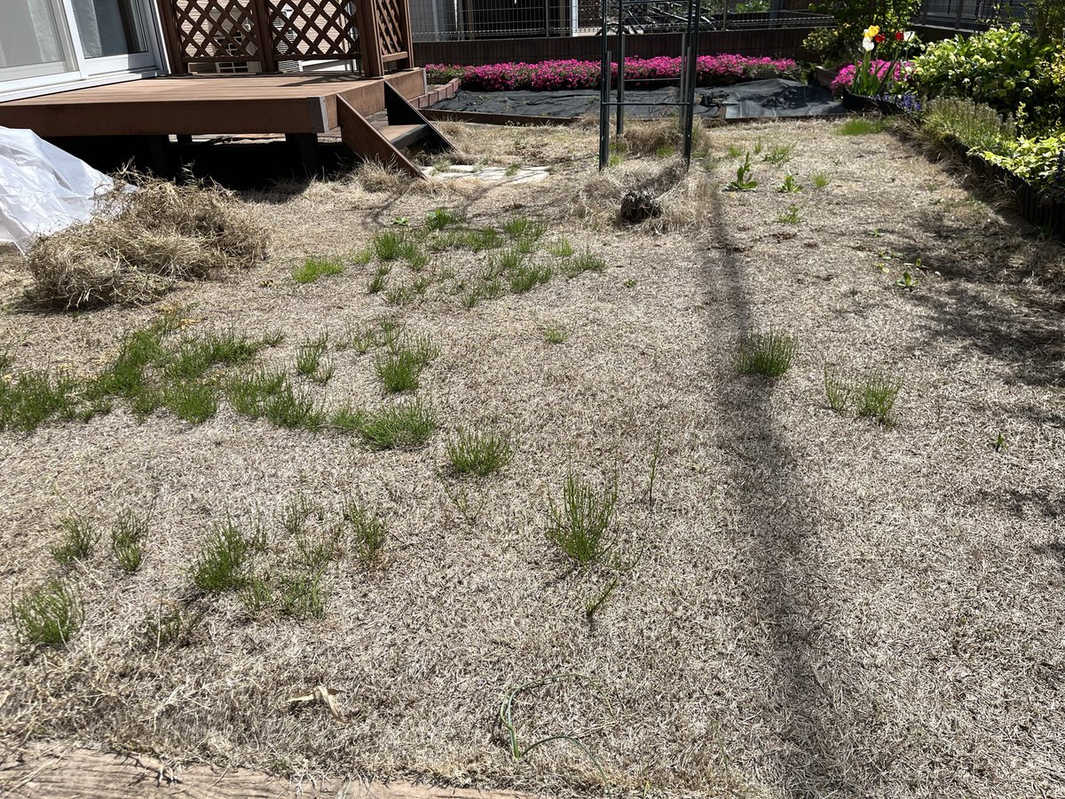 スガワラ中尉 tweet media