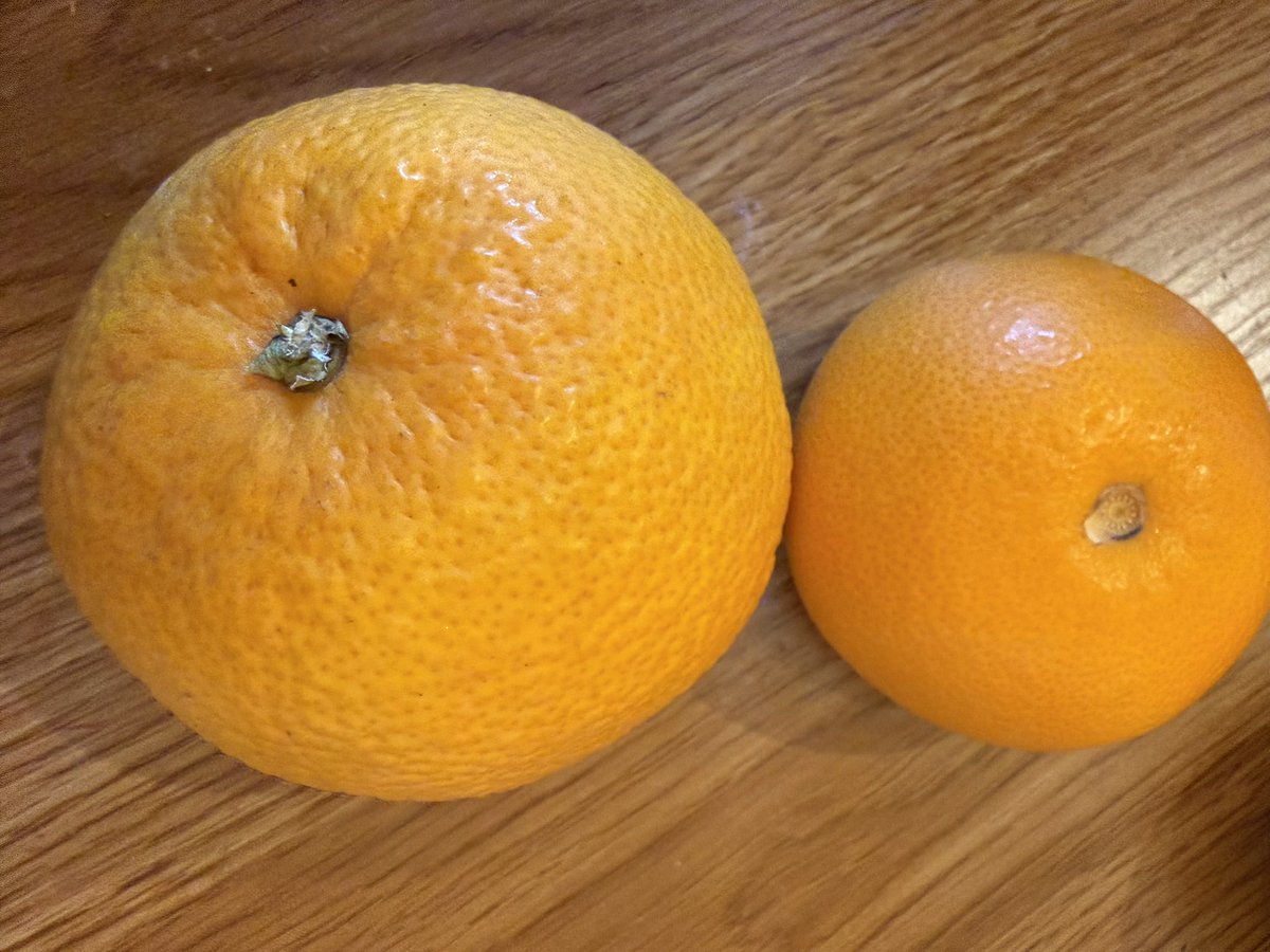 うさこ⋆* tweet media