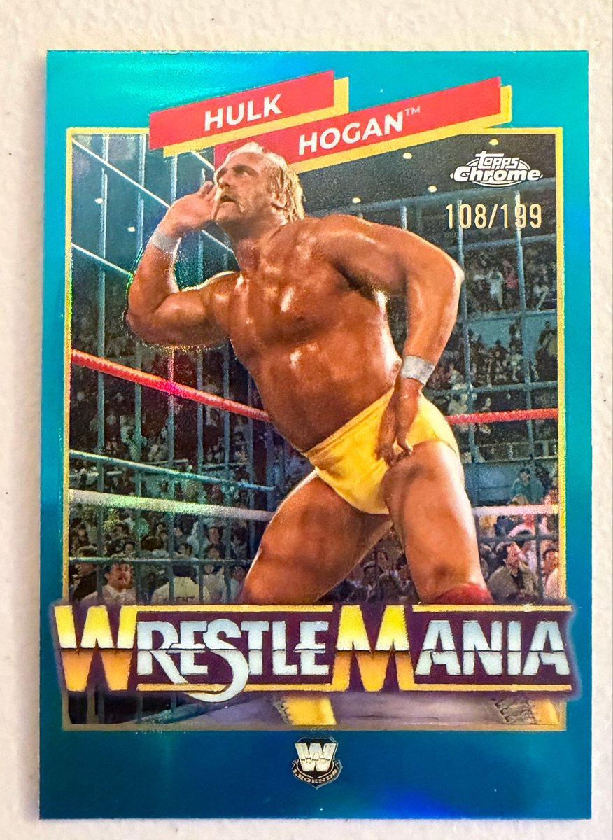 Holly Lin ⭕️ tweet media