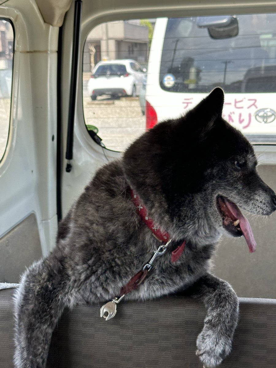 arrow poison tweet media