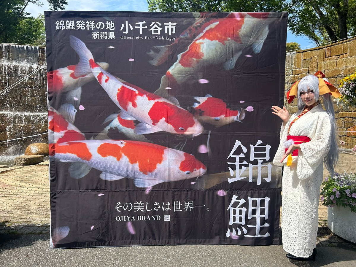 逢坂なつき🐟 tweet media