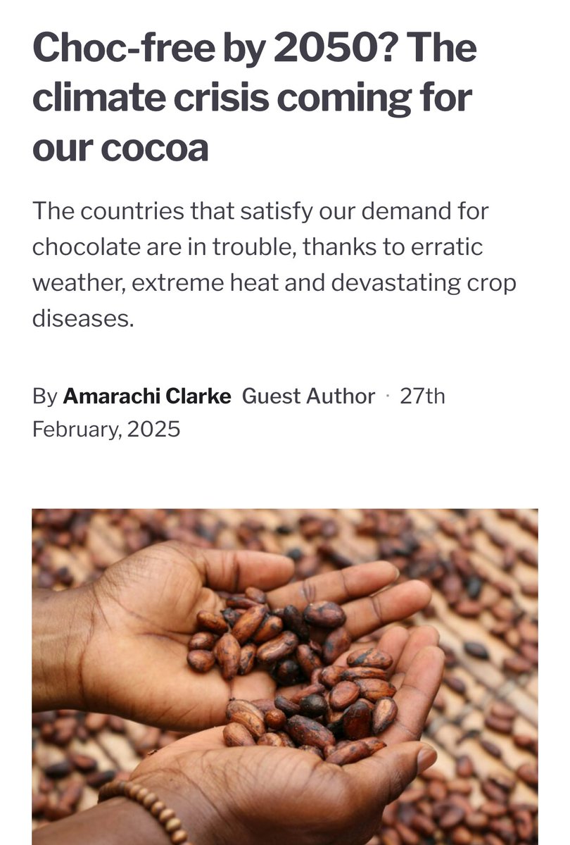 aniwispcom's tweet image. #Chocolate could disappear in as little as 20 years

Climatologists aren't joking; the numbers are ugly

● #Africa is losing &amp;gt;50% of its #cocoa land
● Up to 70% of its supply is at risk
● Colombia is losing another ~20%
● Any climate change will kill the harvest

#Sweet #news