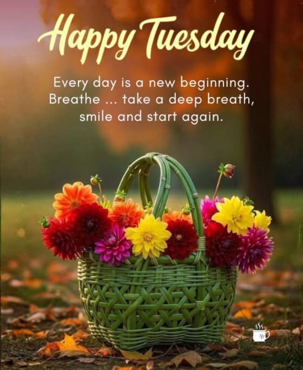 Monica 💙🌻🏳️🌈 tweet media