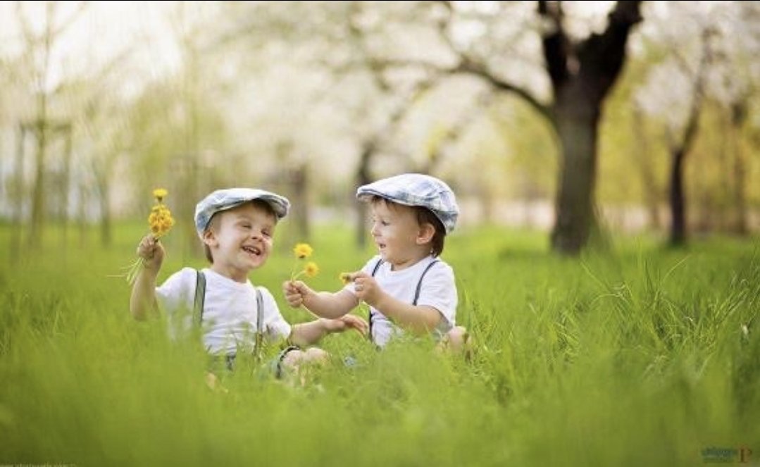 💫ســـ المـالگـي ــفـر💫 tweet media