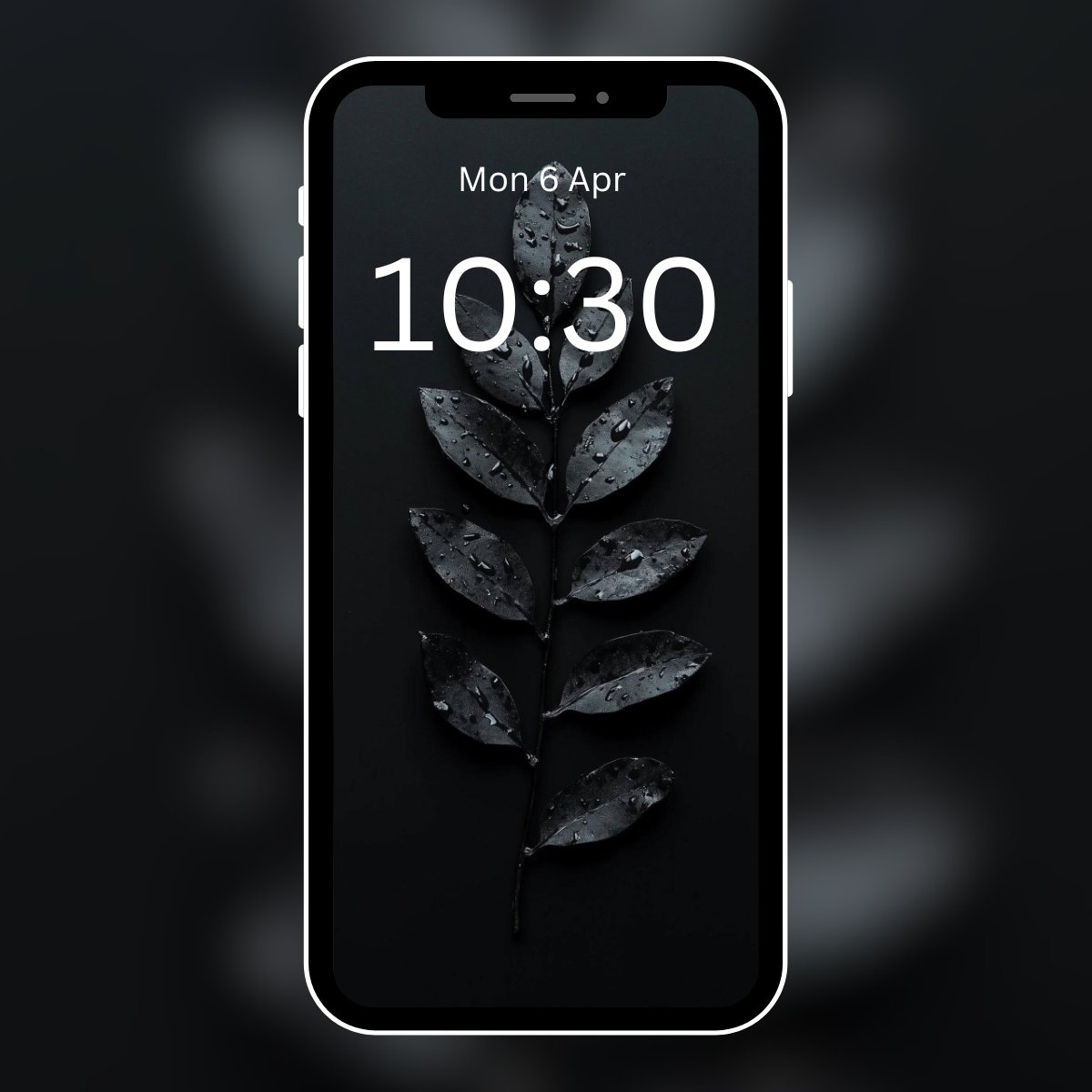 deepa_adk's tweet image. Water droplets on leaves 4k wallpaper 🌿🌿🌿