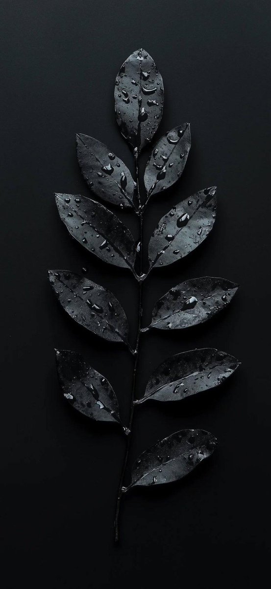 deepa_adk's tweet image. Water droplets on leaves 4k wallpaper 🌿🌿🌿