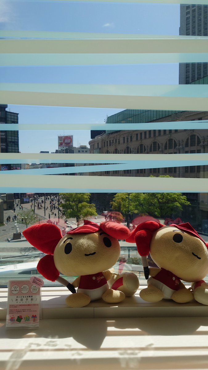 ねぎたま tweet media