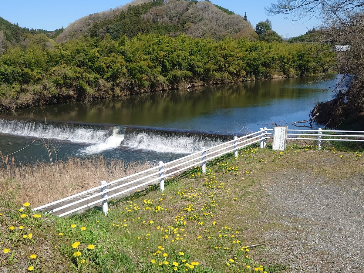 もんてび tweet media