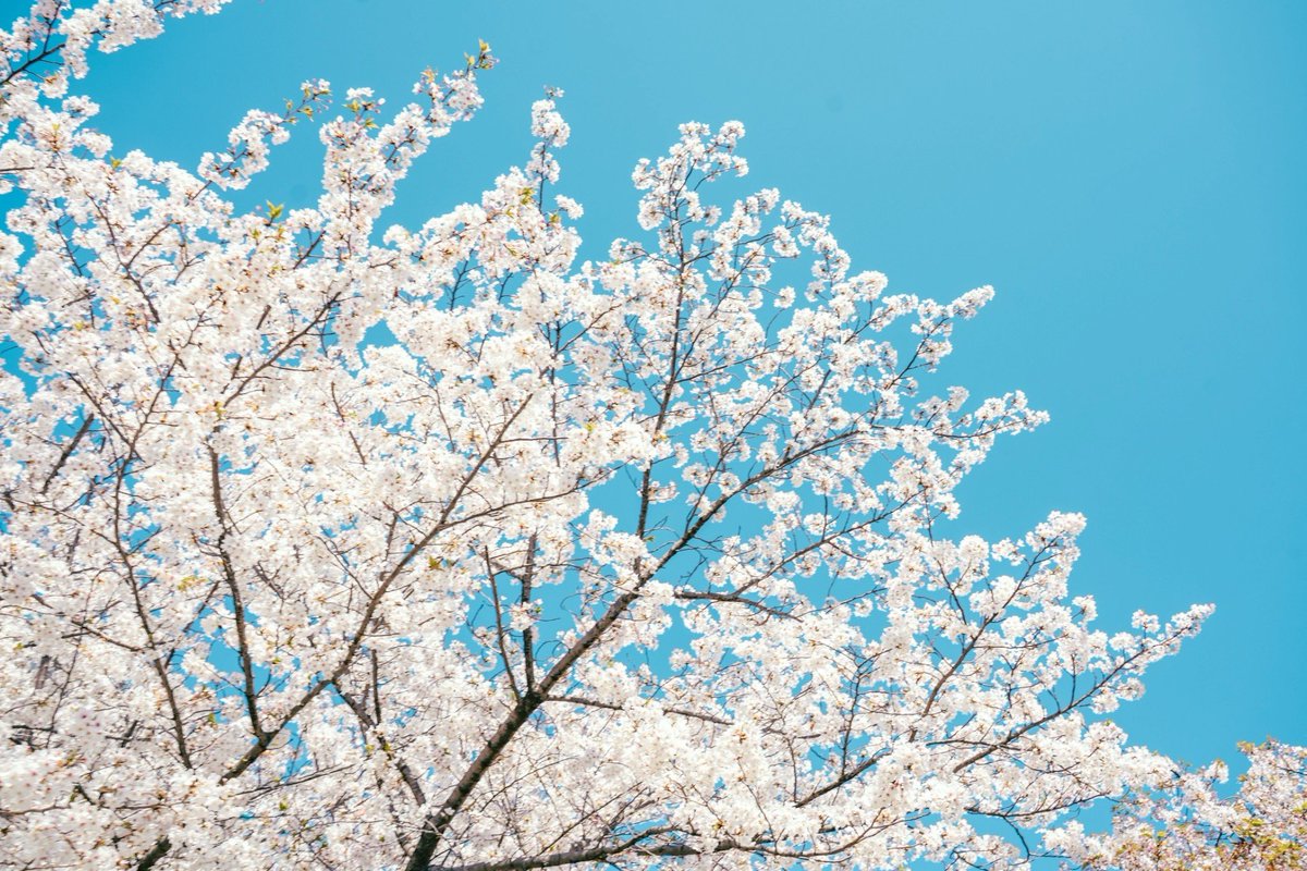 etsu photographer tweet media