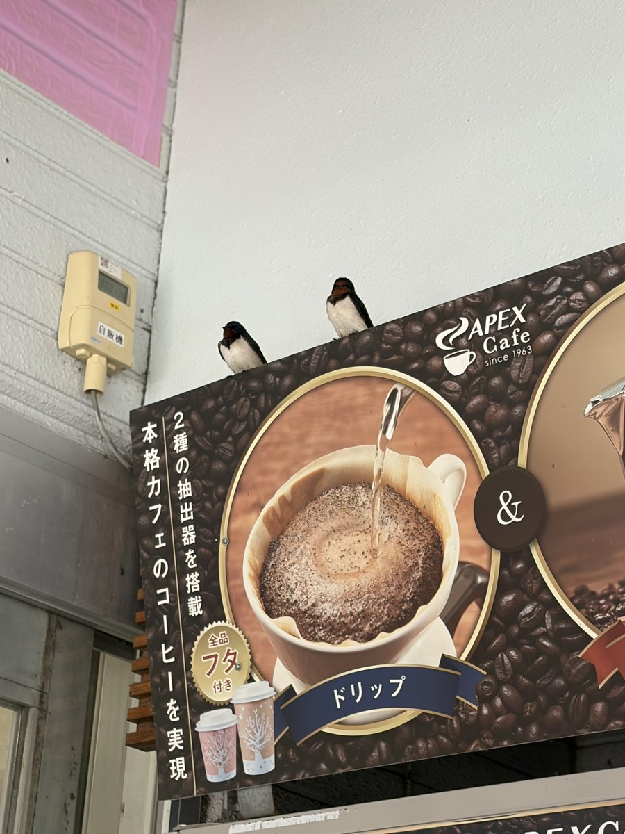 中里香織（創遥）🍀神奈川ママカメラマン📷✨モデル様募集中🍀 tweet media