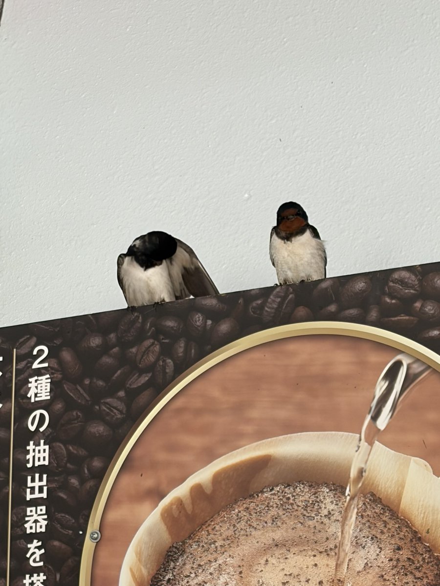 中里香織（創遥）🍀神奈川ママカメラマン📷✨モデル様募集中🍀 tweet media