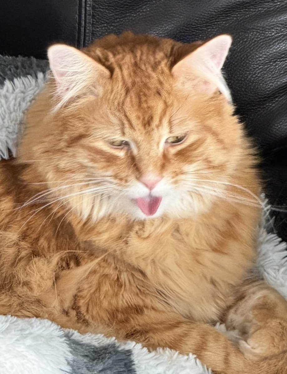 Andrew McCarthy tweet media