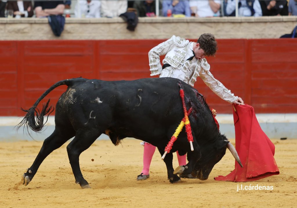 TorosenToledo tweet media