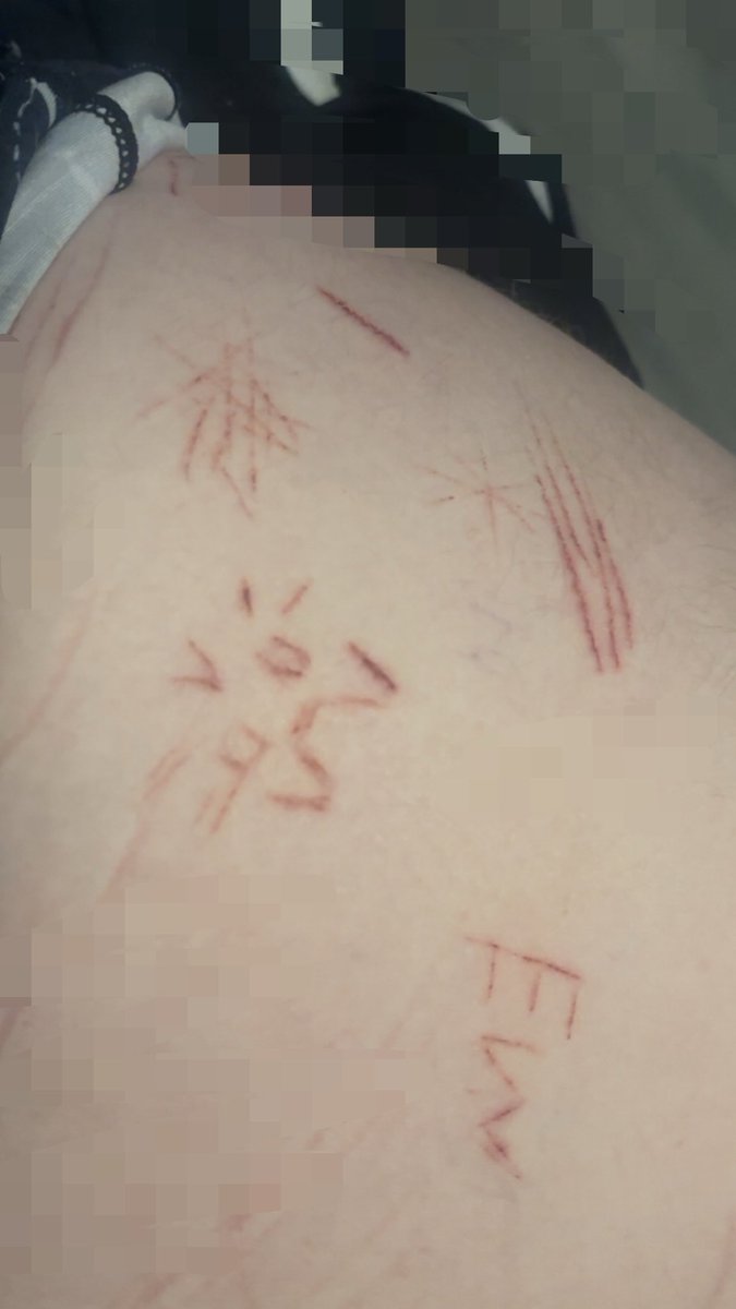 althea | sh twt tweet media