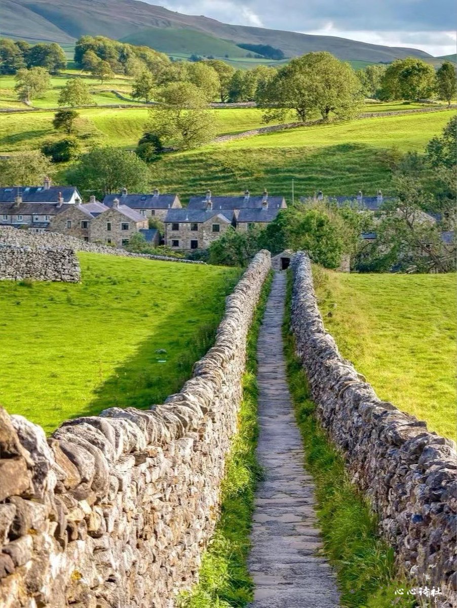 心心（Liu Yu） tweet media