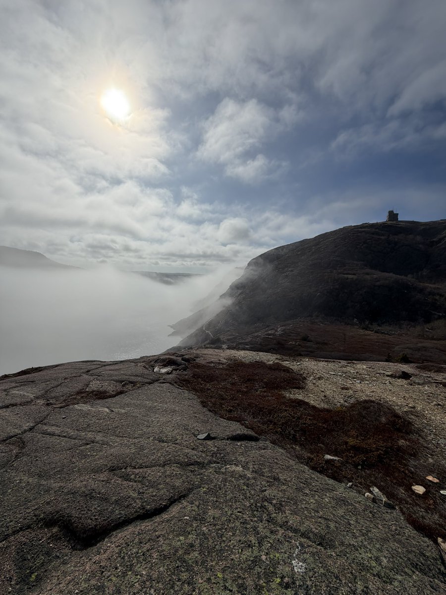 Wayne Walsh tweet media