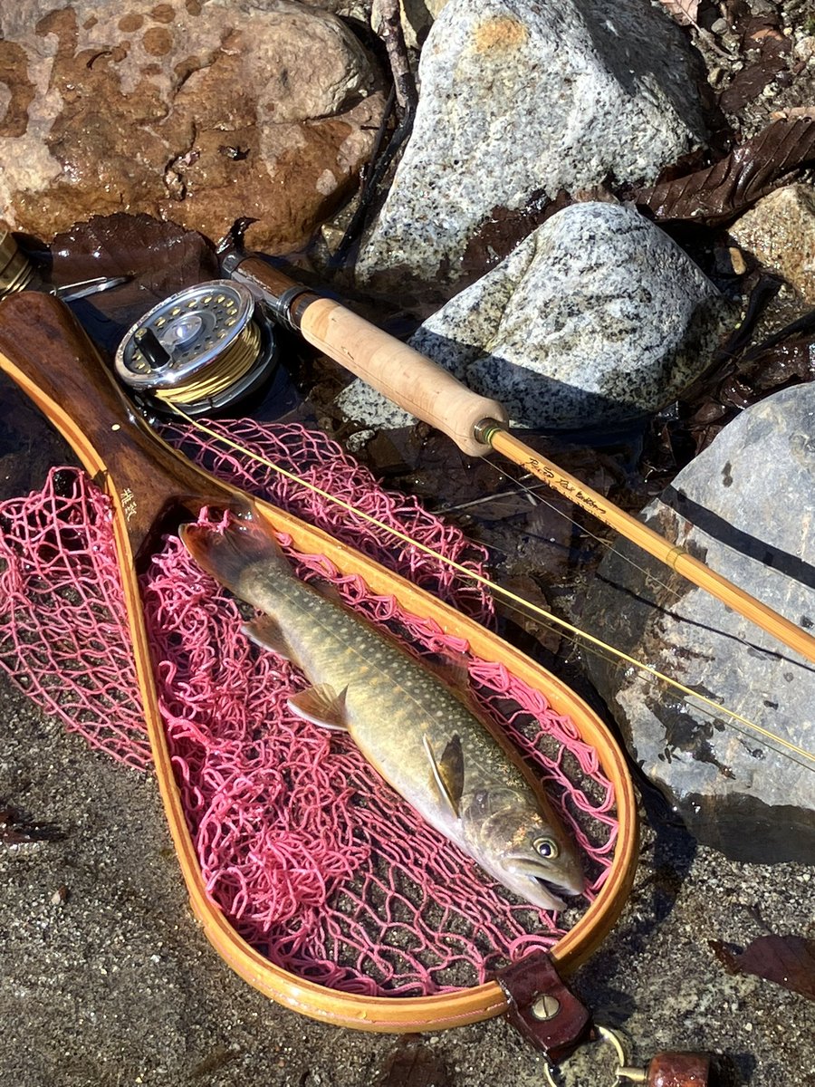 gachi_7134's tweet image. 昨日はサラパパをホームにお迎えしました🎣
今回もまた15kほど歩きましたが楽しい一日だった☺️
そこそこの風が吹きキャストしづらかったけど3バラシ、10ネットイン！
私には上出来👏
#フライフィッシング
#flyfishing
#山梨の渓
#岩魚
#RYUNOROD
#HARDY
#咲良ネット
