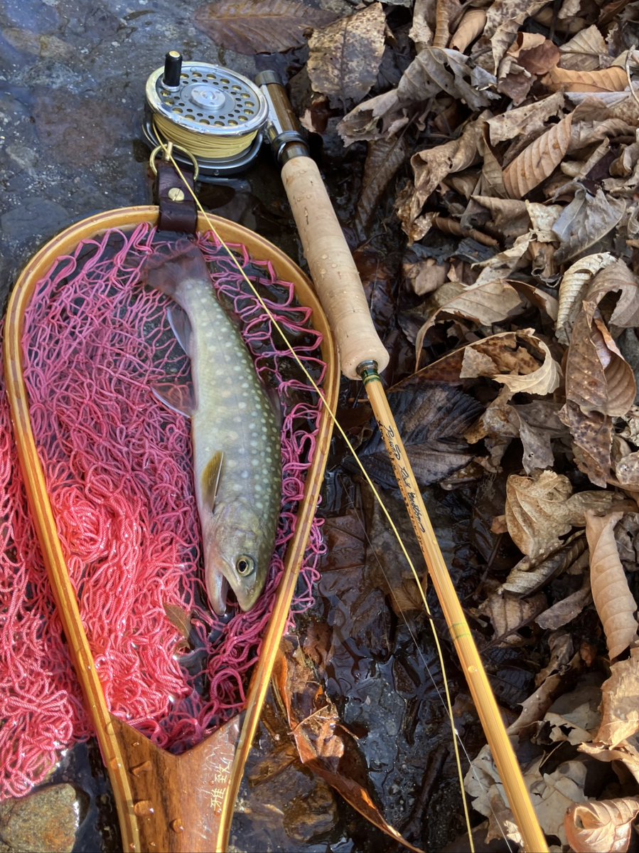 gachi_7134's tweet image. 昨日はサラパパをホームにお迎えしました🎣
今回もまた15kほど歩きましたが楽しい一日だった☺️
そこそこの風が吹きキャストしづらかったけど3バラシ、10ネットイン！
私には上出来👏
#フライフィッシング
#flyfishing
#山梨の渓
#岩魚
#RYUNOROD
#HARDY
#咲良ネット