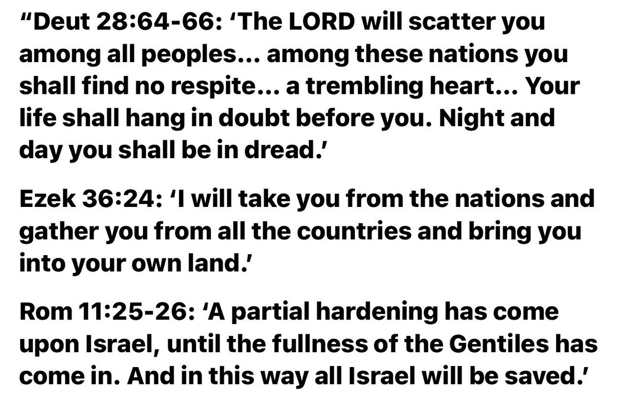 Anna Ross Weidmann tweet media