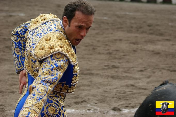 Toros Ecuador tweet media