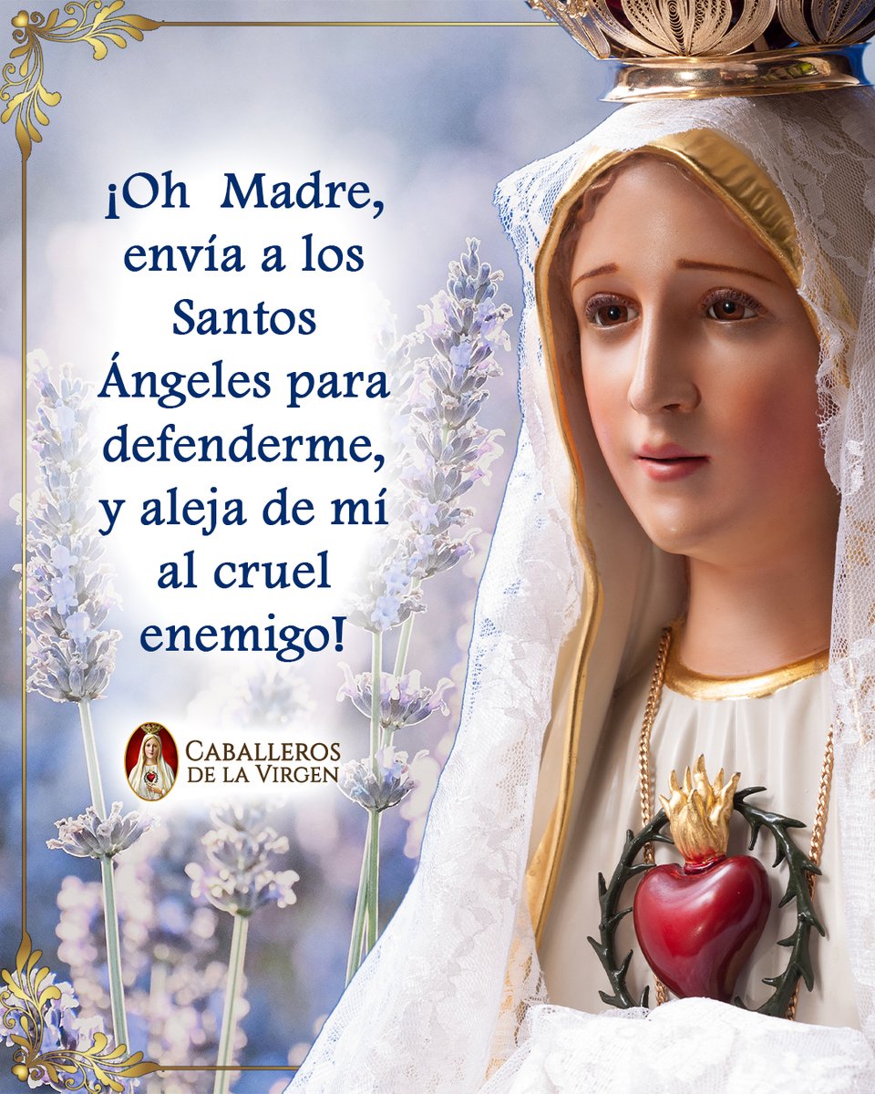 Caballeros de la Virgen tweet media
