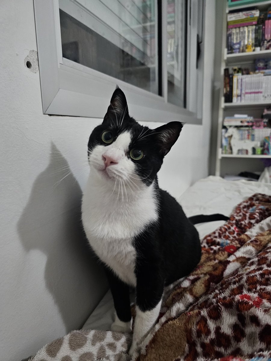 cherry vai ver os zarry 🍒 tweet media