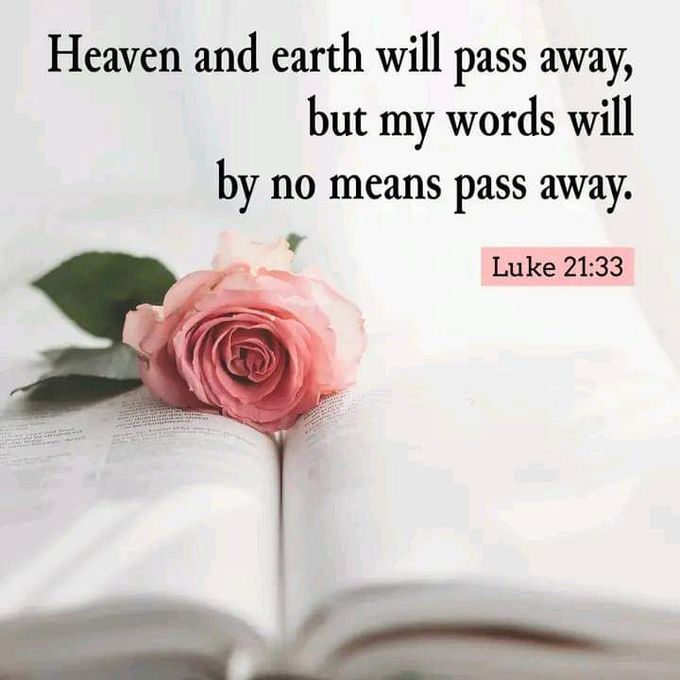 JesusSavesUs777's tweet photo. Do you agree? https://t.co/tECpchIKZN