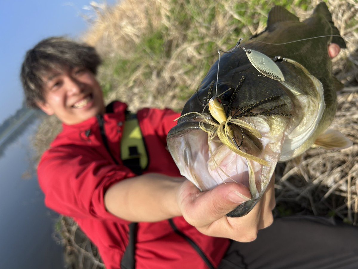 eicyorin's tweet photo. この季節にふさわしい。🌸

#RAIDJAPAN
#レベルスピン
#バス釣り https://t.co/dmOgXtXucx