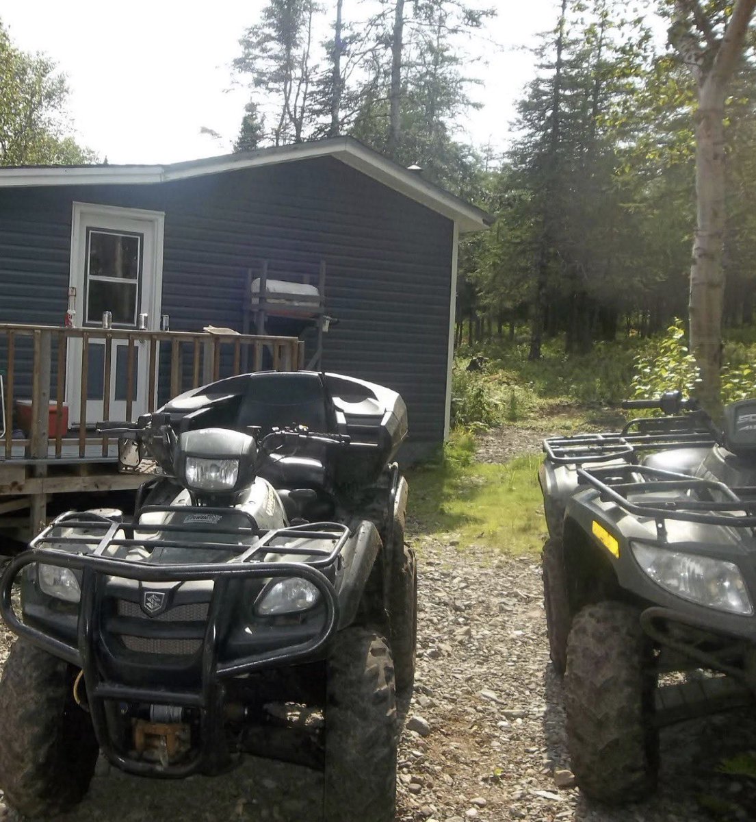 Chris 🍌 tweet media