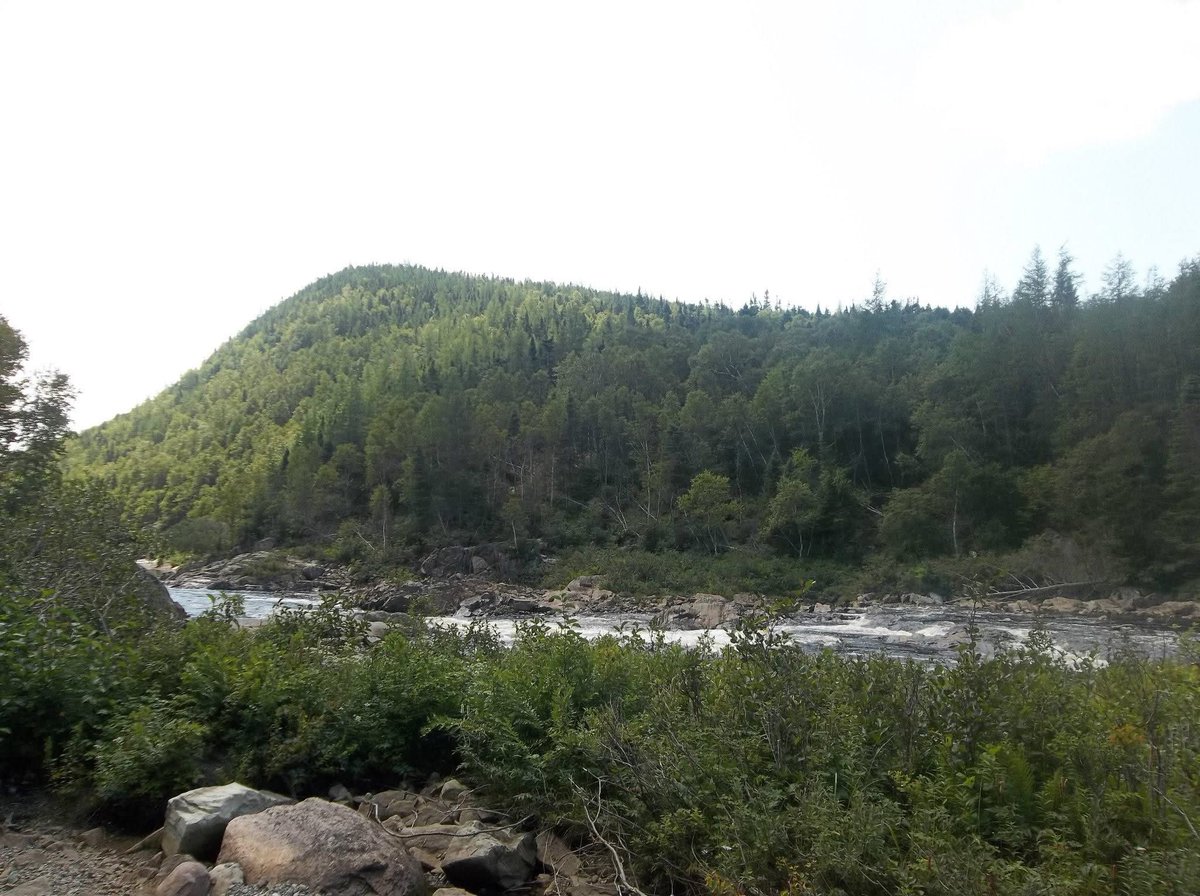 Chris 🍌 tweet media