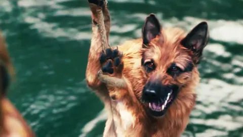 うのしょうじ tweet media