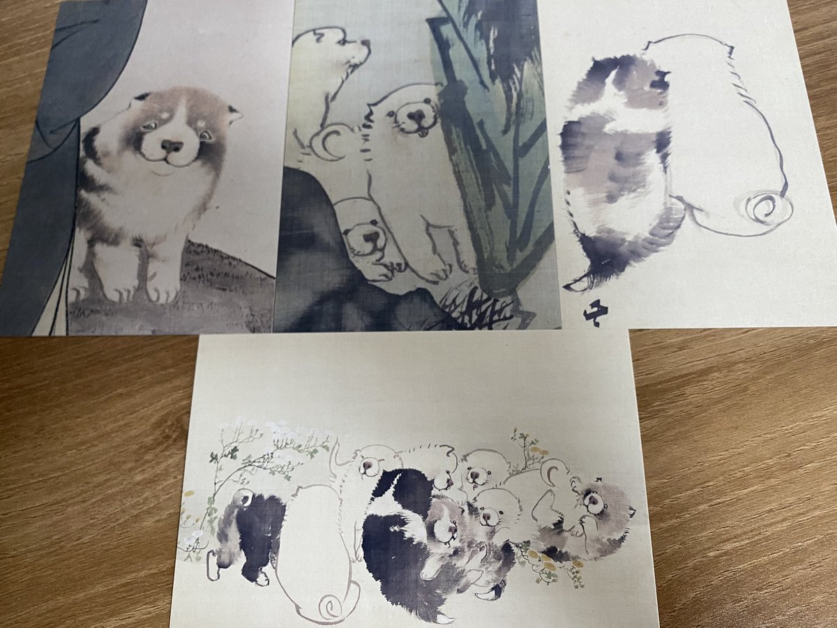 ｓｈｅｌｌｙ tweet media