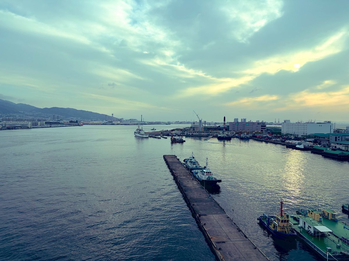 まえ🐄🫶 tweet media