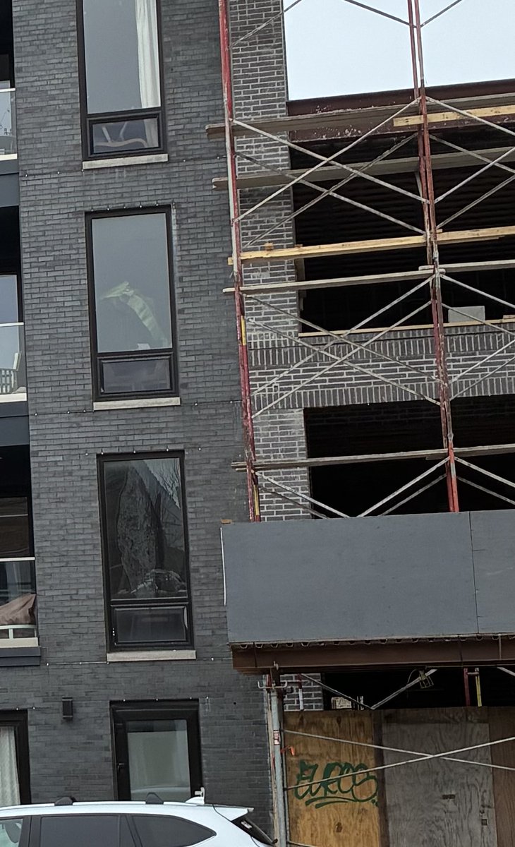 Alicia, Courtyard Urbanist tweet media