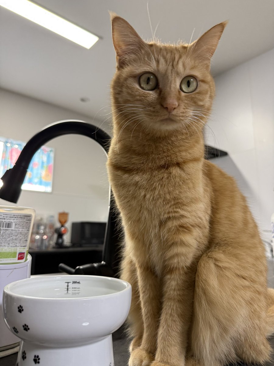 すずロー tweet media