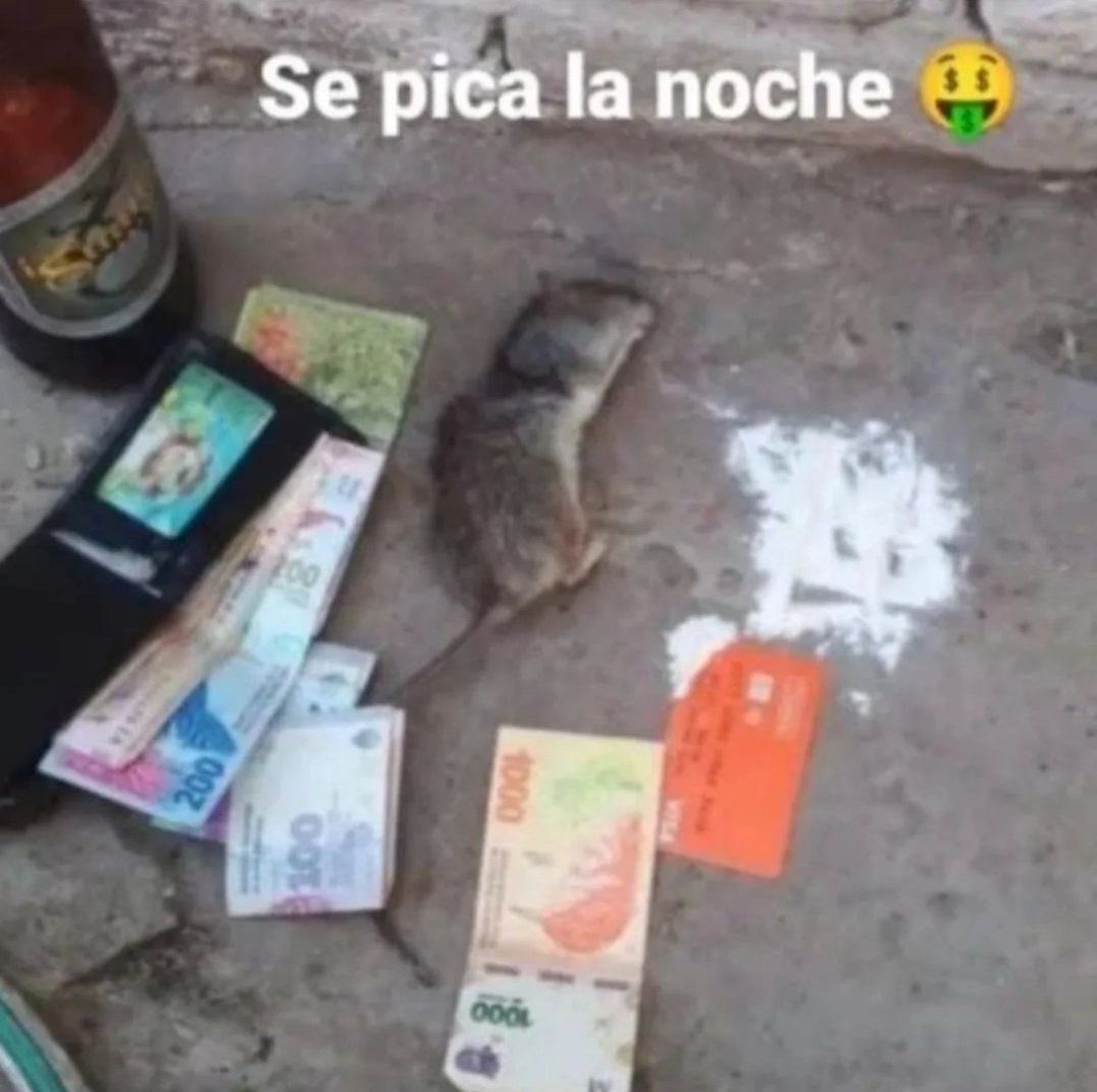 vespertine tweet media