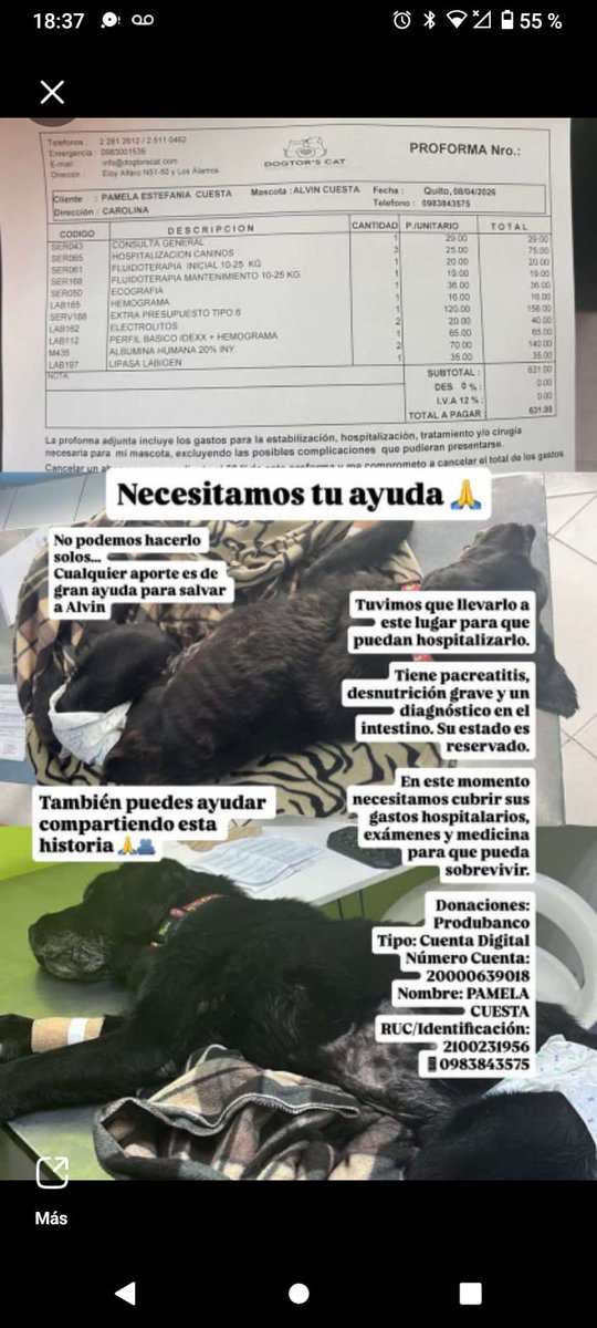 Bloque Defensores An tweet media