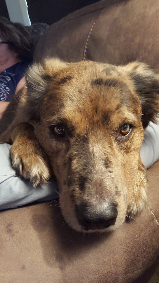 Kim Ashley 🇺🇸 🇮🇱 tweet media